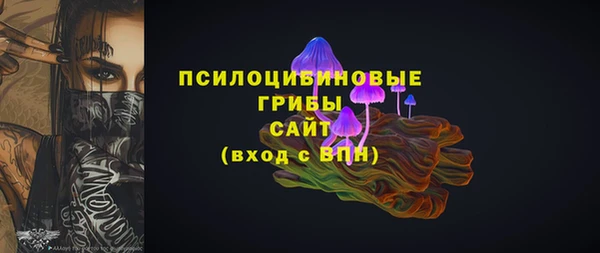 таблы Белокуриха