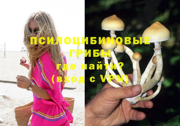 стафф Белоозёрский
