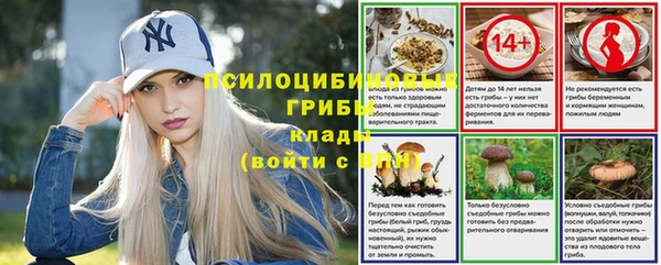 таблы Белокуриха